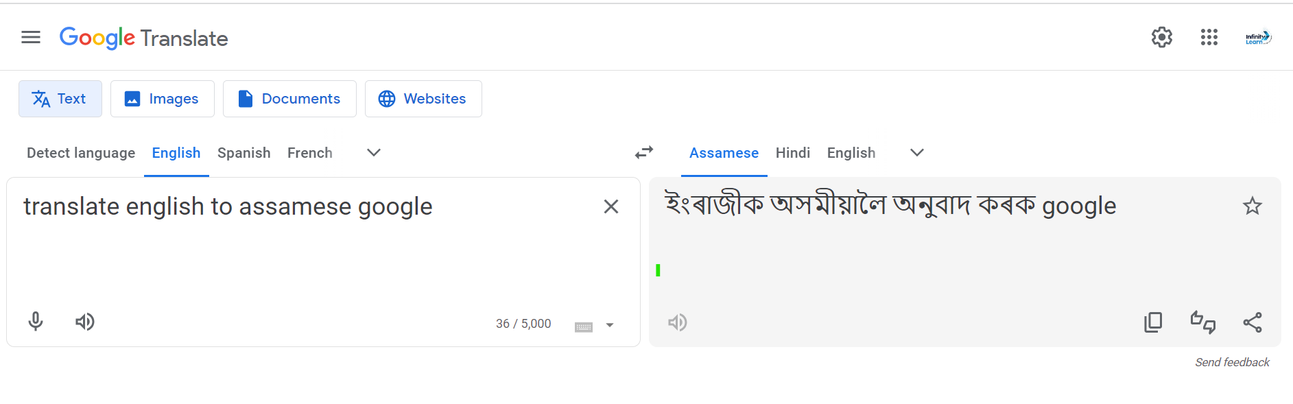 Google Translate English to Assamese