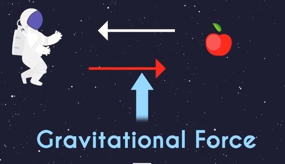 Gravitational Force between two Objects