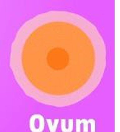 ovum