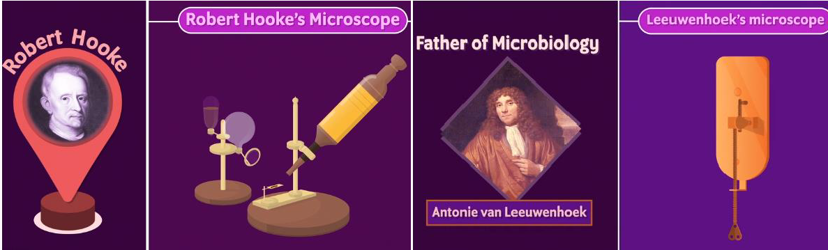 Robert Hooke and his microscope, Antonie van Leeuwenhoek and his microscope