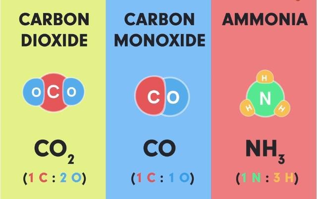 Examples of molecules of compounds