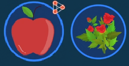 Angiosperms - Apple, Rose, Hibiscus