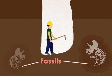 Fossils